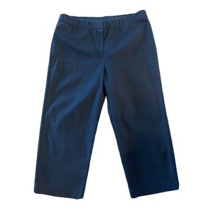 J JILL Navy Cotton Stretch Wide Straight Leg Ankle Pants size 14 Petite 0082
